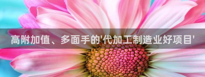 pg电子游戏网站
