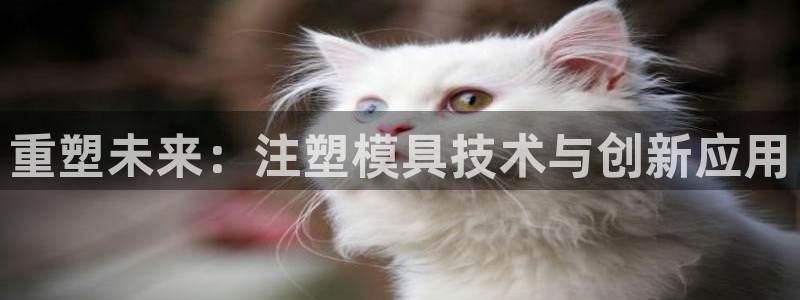 PG电子赏金女王玩法