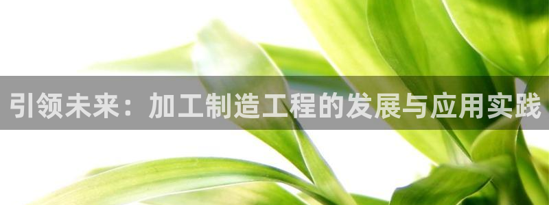 pg电子视频麻将胡了
