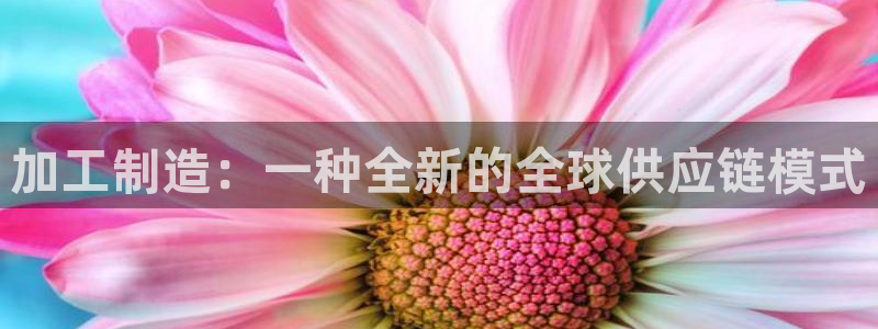 pg电子攻略