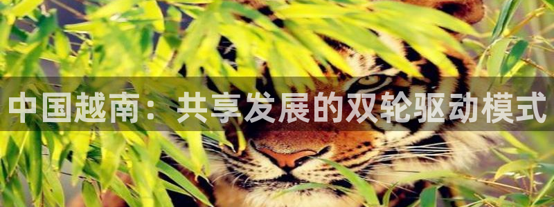 pg电子摇钱树爆分欣赏