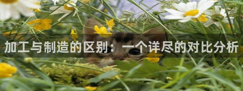 pg电子玩哪些游戏