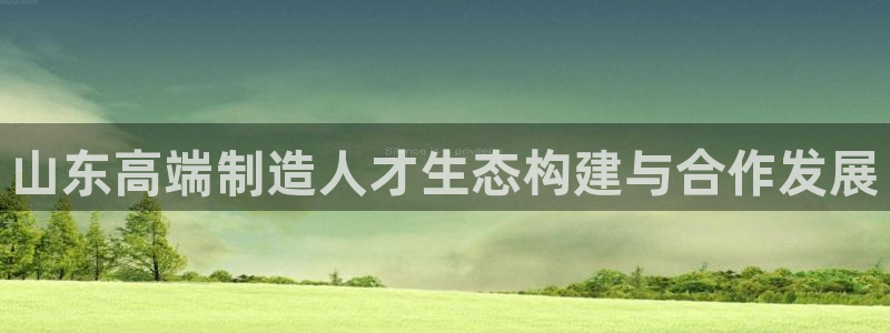 pg电子脚本