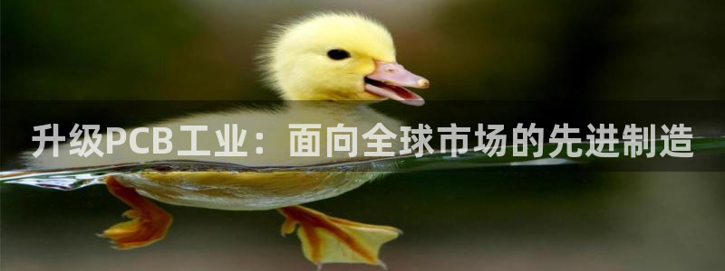pg电子麻将胡啦
