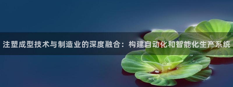 电子类pg是什么意思