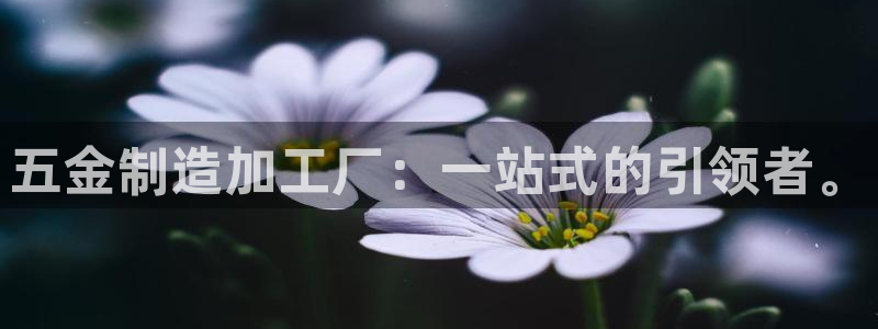 pg电子爆分视频网址