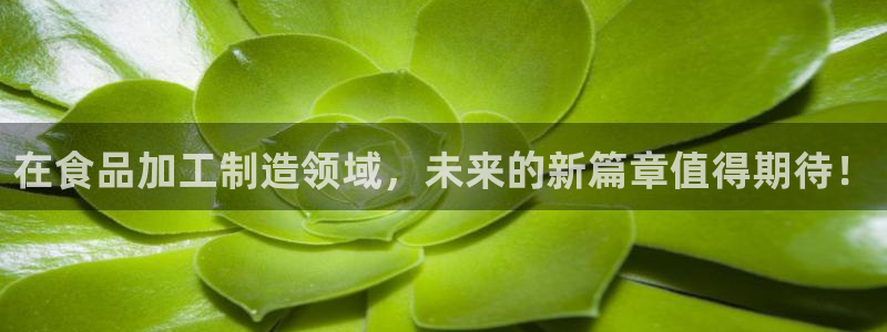 pg电子视频麻将胡了
