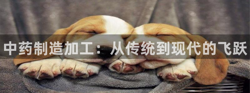 pg电子客户端
