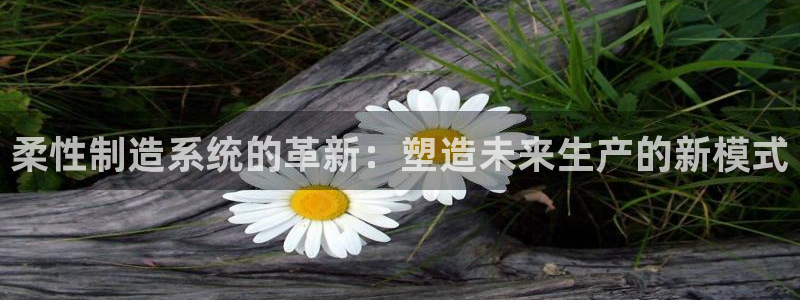 电子pg麻将胡了技巧