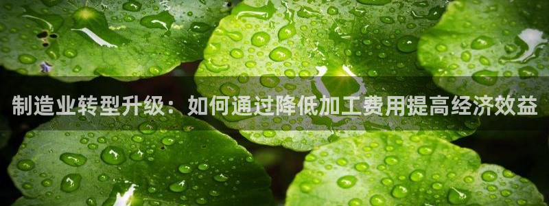 可以玩pg的电子软件