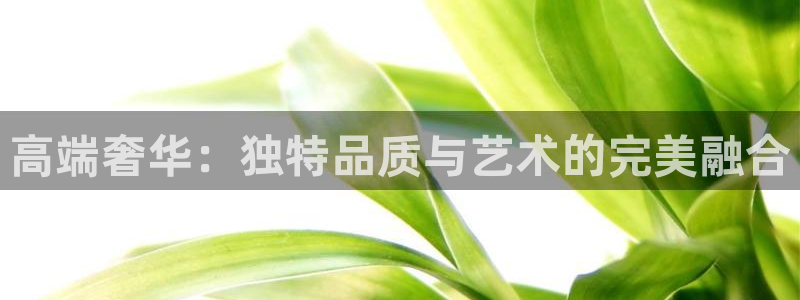pg电子千赢国际
