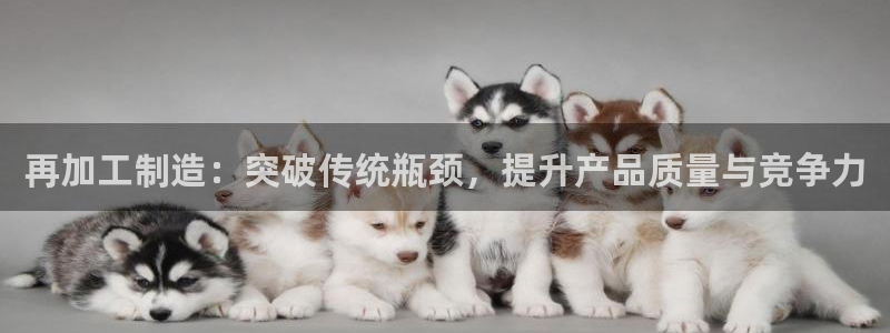 pg电子客户端