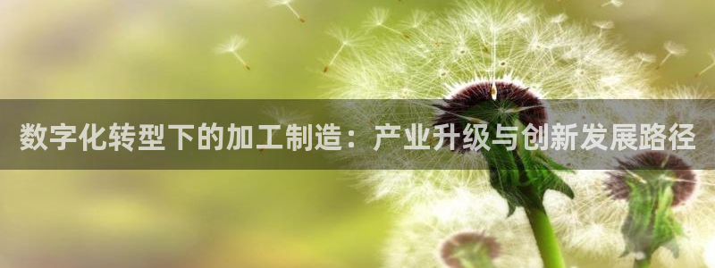 澳门pg电子网站