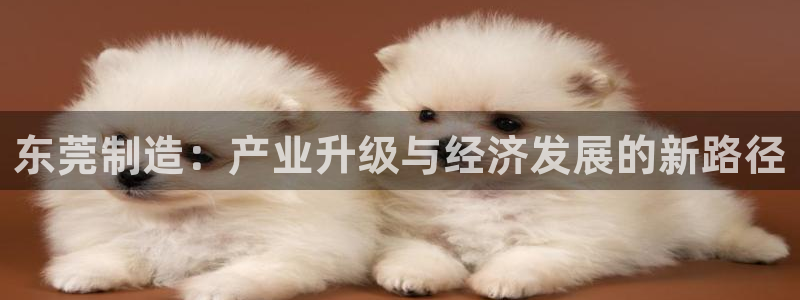 pg电子游戏网站