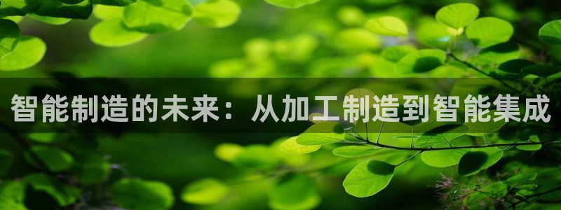 PG电子少林足球规则
