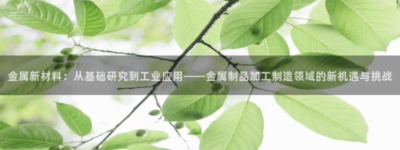 pg电子平台开户