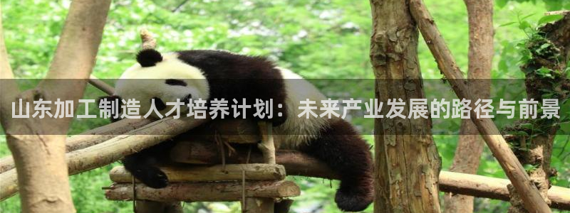 pg麻将胡了电子游戏