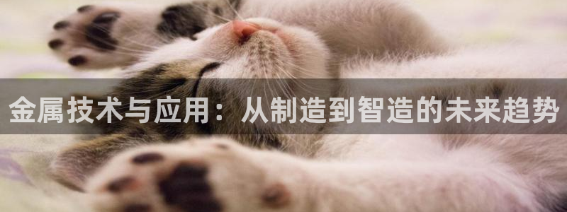 pg电子龙虎争霸
