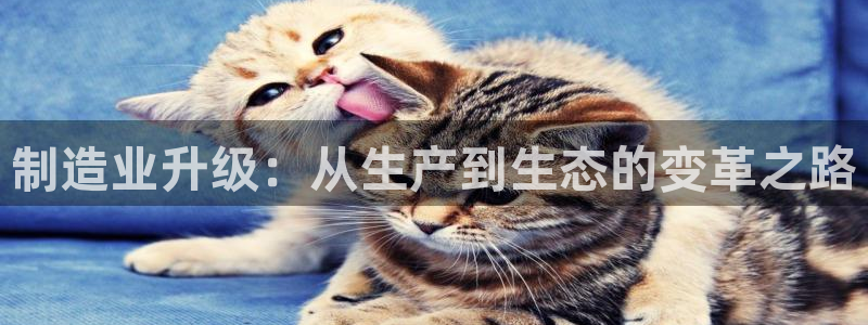 PG电子麻将胡了漏洞