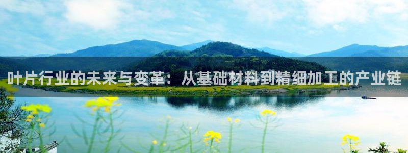 双喜临门pg电子