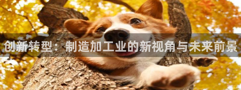 多闪娱乐电子pg