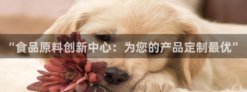 pg电子吃分爆分时间