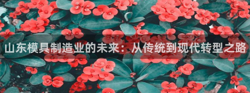 pg电子麻将糊了大奖