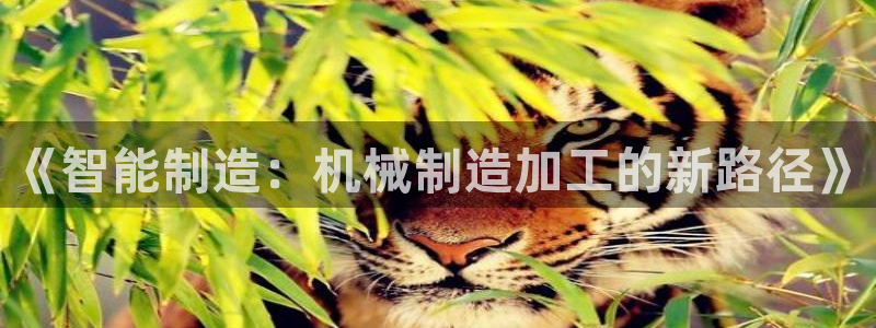 pg电子屏幕共享