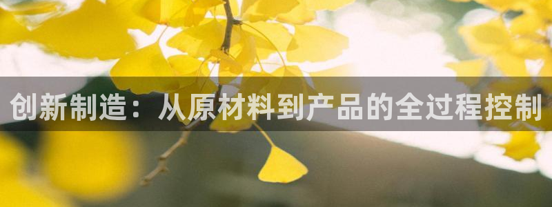 有没有PG电子体验的
