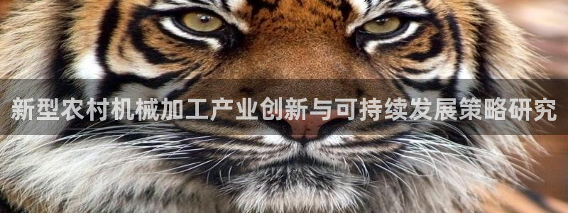 最大pg电子游戏官网