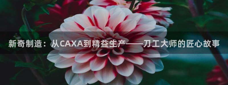 pg电子斗鸡爆分