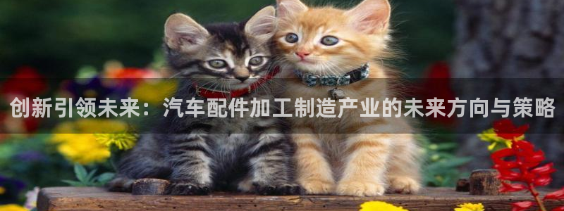 多闪娱乐电子pg