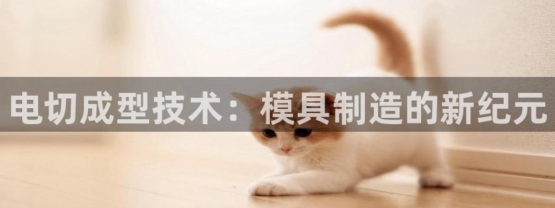 pg电子比基尼视频