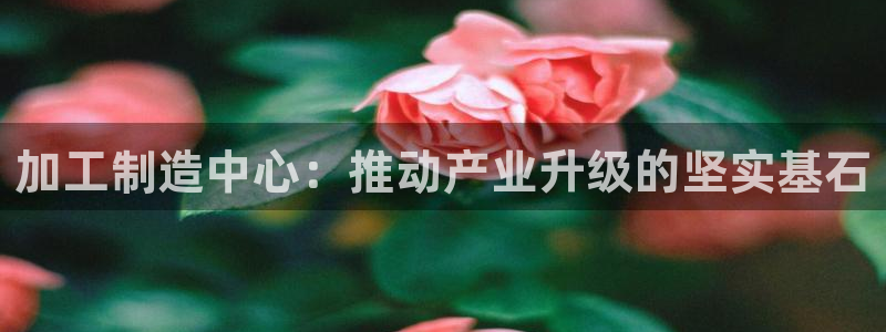 pg电子高爆率玩法