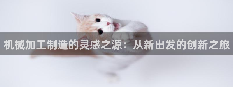 pg电子龙虎争霸