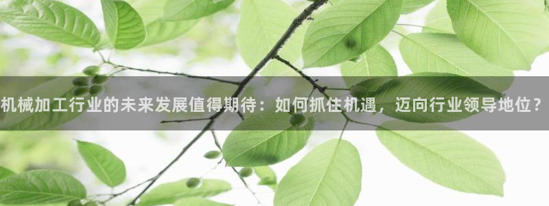 pg电子什么时候最容易爆大奖