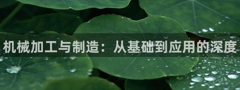 pg电子高爆率玩法
