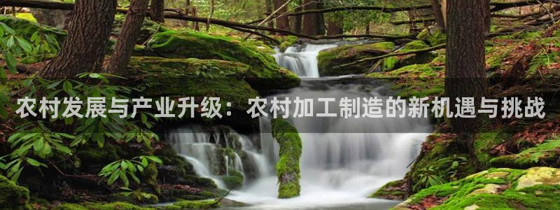 pg电子麻将胡了输很多