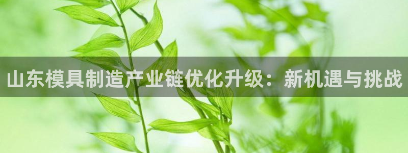 pg电子在线下载