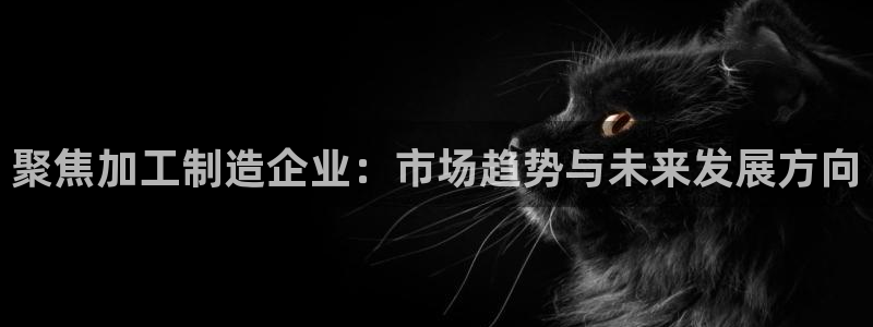 PG电子视频在哪看
