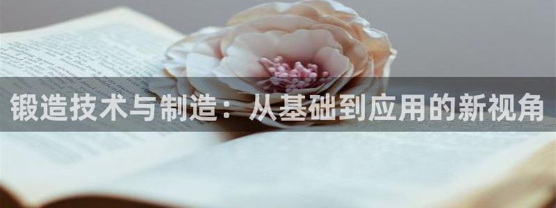 pg电子麻将胡啦