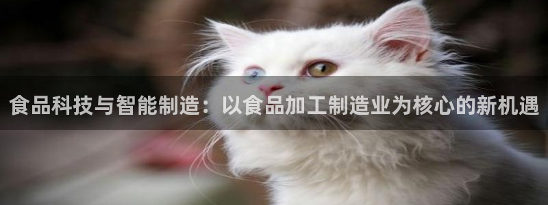 pg电子注单未返回