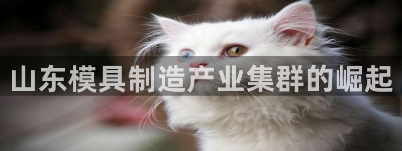 pg电子麻辣火锅爆分