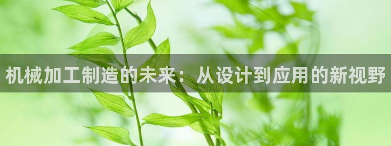 电子游戏PG新国碎