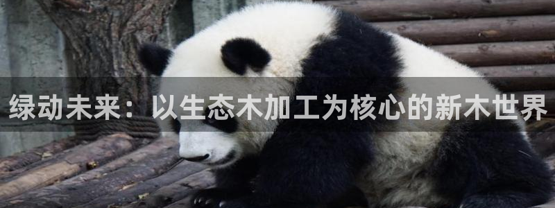 pg电子app下载