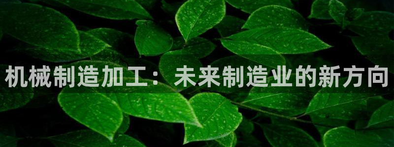 pg电子怎么能赢