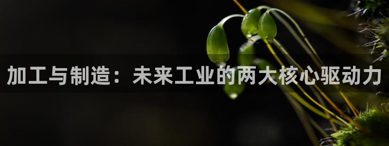 pg电子爆奖