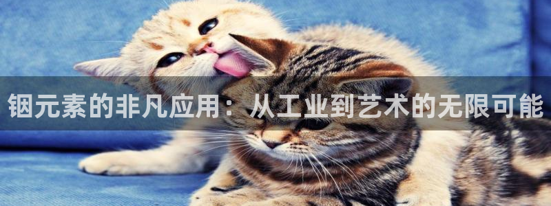 寻龙探宝pg电子