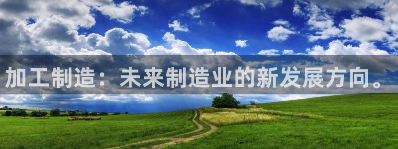 pg电子模拟器