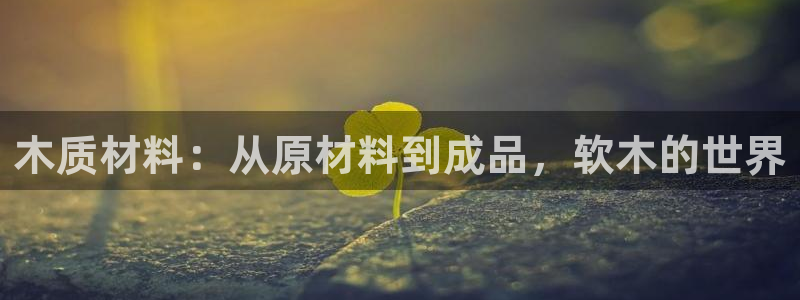 pg电子怎么一直维护